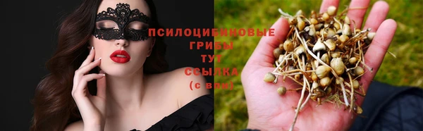 соль курить ск Алексеевка
