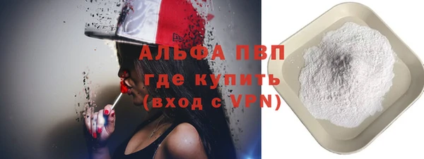 стафф Осташков