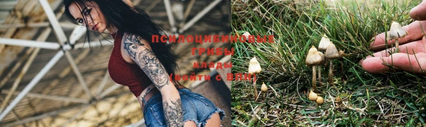 MDMA Алзамай
