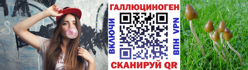 Галлюциногенные грибы Psilocybe  Губкин 